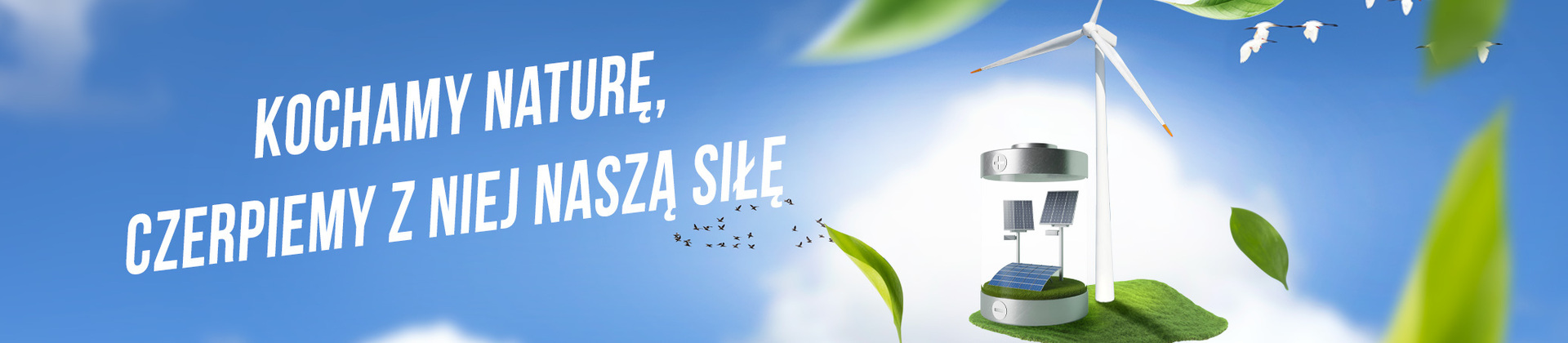 Baner główny 1