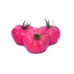 Gusto Pink