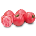 Pinkince